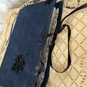 jean bluejunk journal