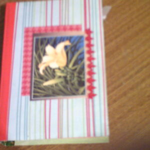 yellow lilly envelope scrapbook