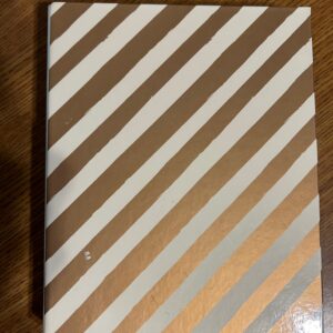 princess ring binder notebook & scrapbook