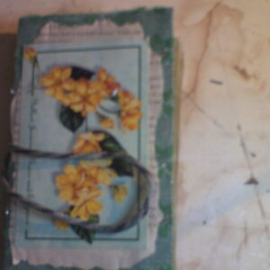 green jasmine journal